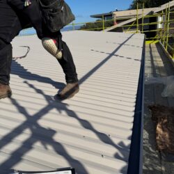 New SureClad corrugated roof installed during a Fairhaven re-roofing project.